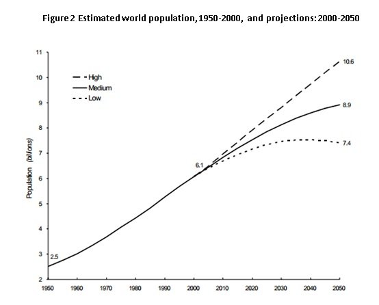 Word population predictions