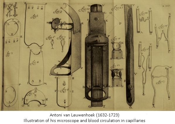 Leuwenhoek