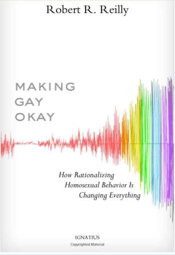 Making Gay OK Book Cover