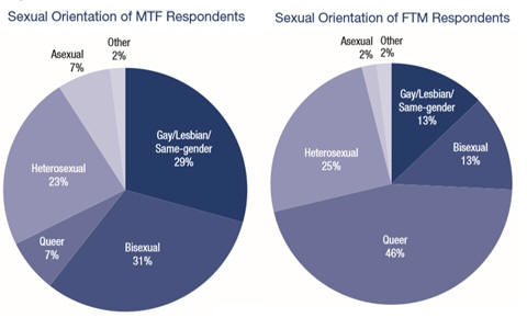 Gender transition outcomes